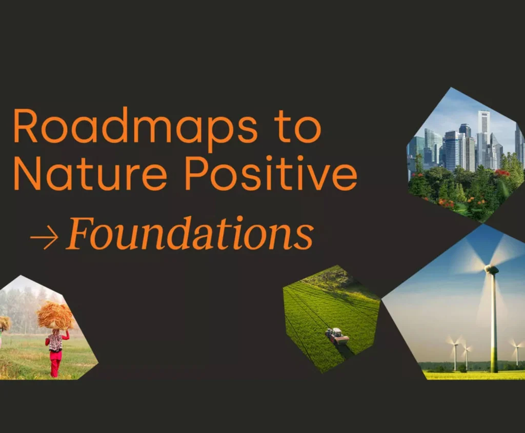 Cutting through the complexity – guidance for business to accelerate action and accountability in support of nature-positive outcomes