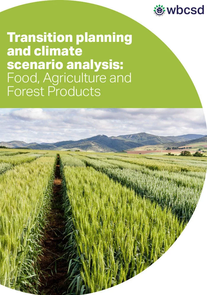 Transition planning and climate scenario analysis: Food, Agriculture and Forest Products