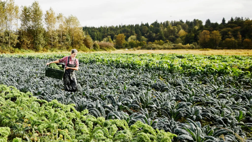 Explore the benefits of regenerative agriculture