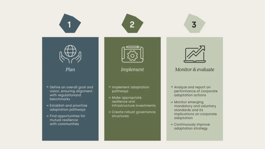 Optimizing Business Adaptation Strategies: Plan, Implement, Monitor