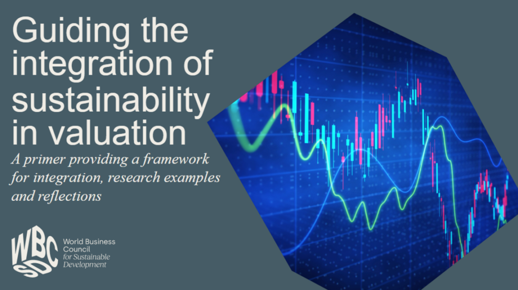 Guiding the integration of sustainability in valuation