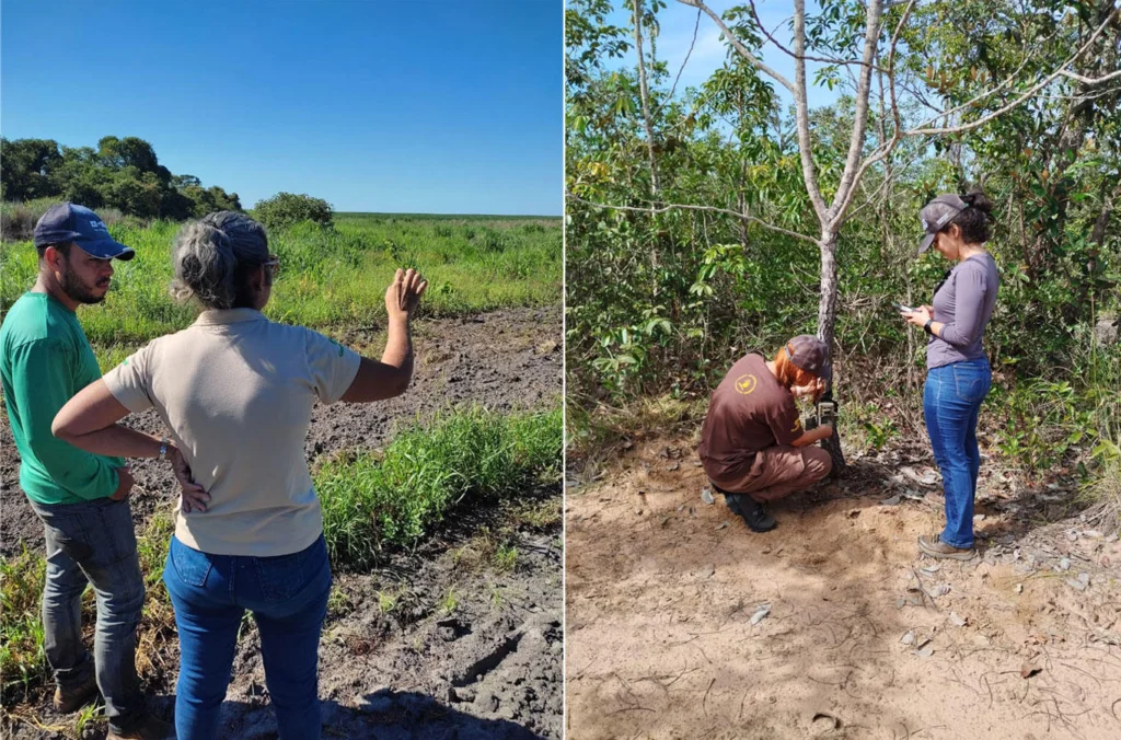 Monitoring fields by Parque Vida Cerrado’s team in Western Bahia  