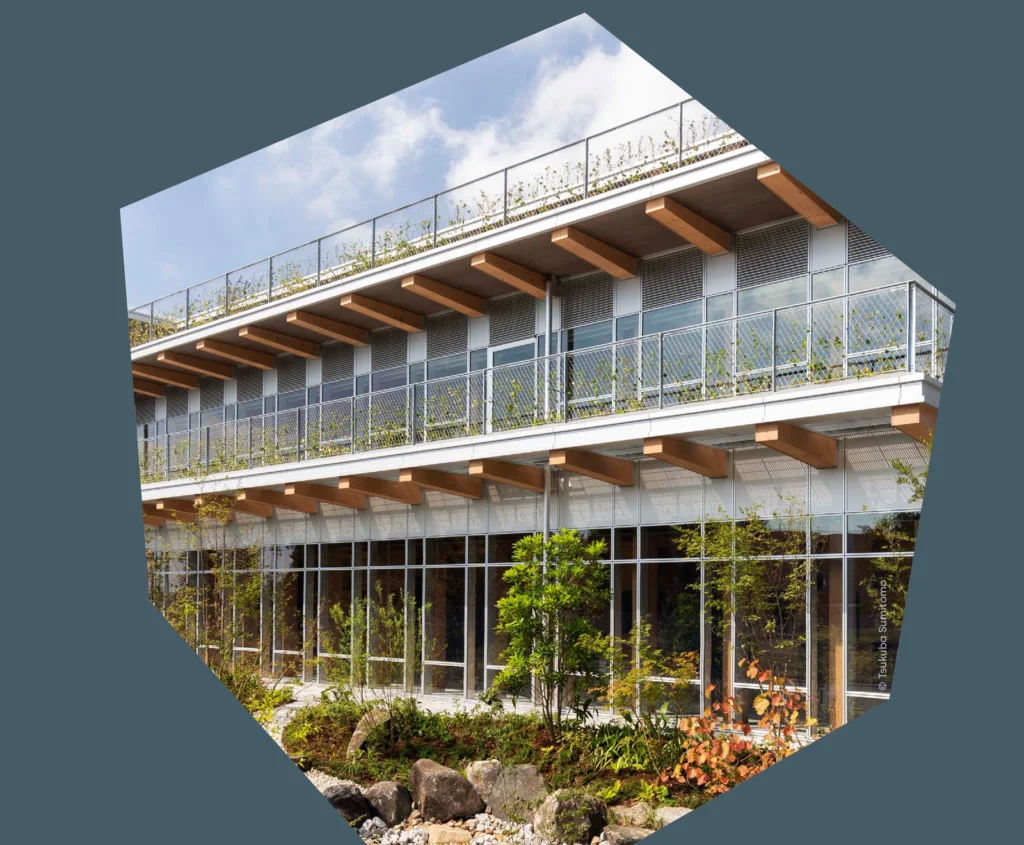 Dive into the world of net-zero operational carbon buildings.