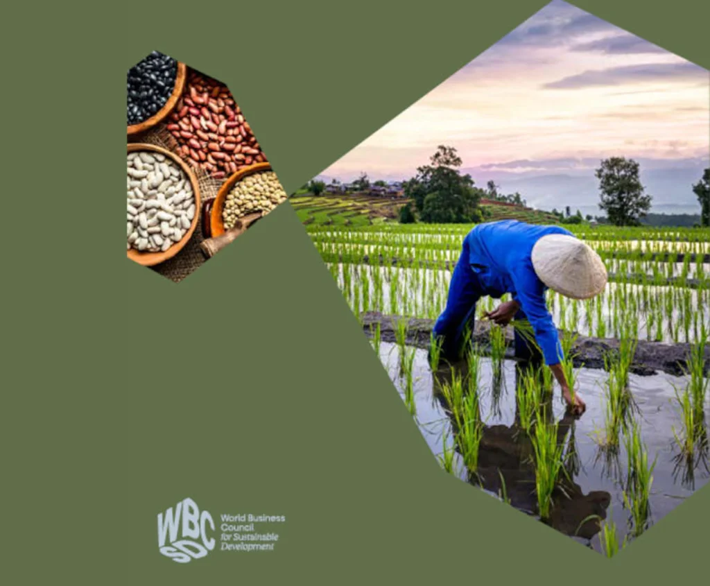 Discover the business case for Scope 3 GHG action in agriculture and food value chains