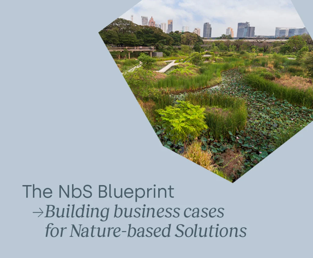Download Nature-based Solutions Blueprint