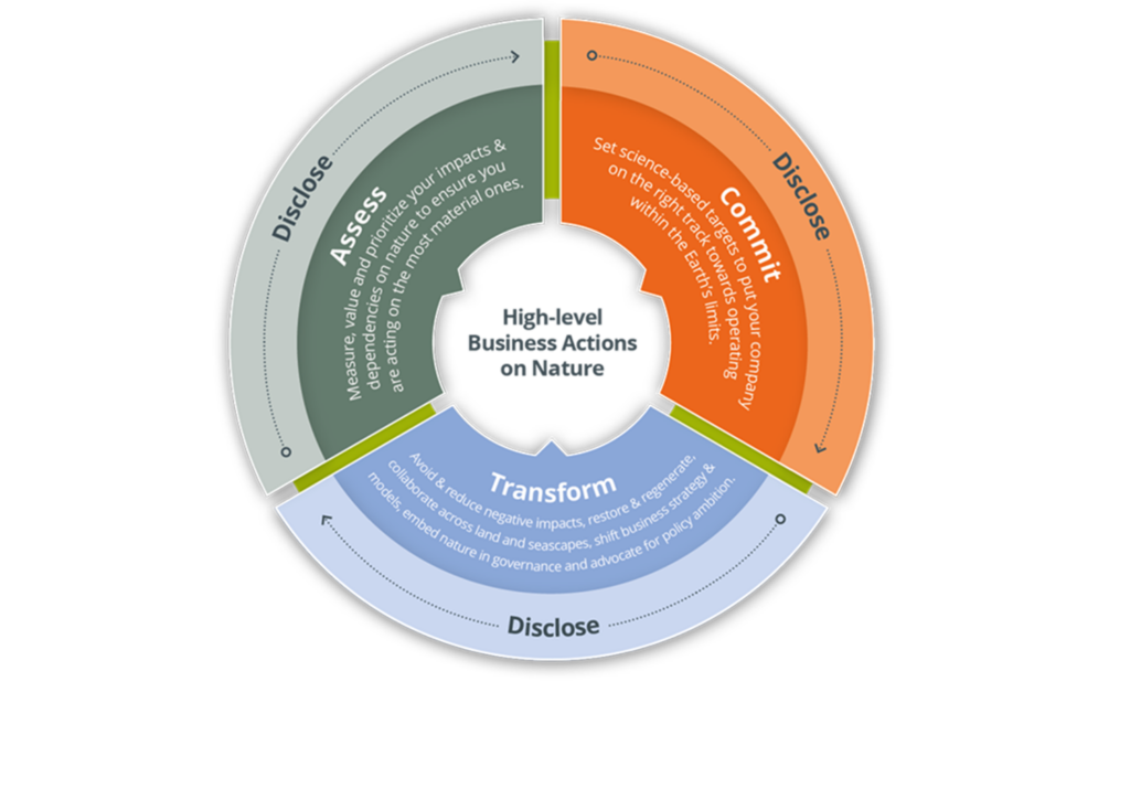 Act D Framework