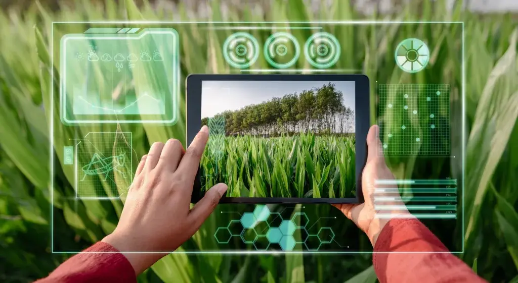 Farmer Woman Using Digital Tablet With Virtual Reality Artificial Intelligence AI for Analyzing Plant Disease in Corn Agriculture Fields Technology Smart Farming and Innovation Agricultural Concepts