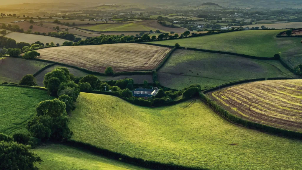 EU Policy Opportunities to Scale Regenerative Agriculture